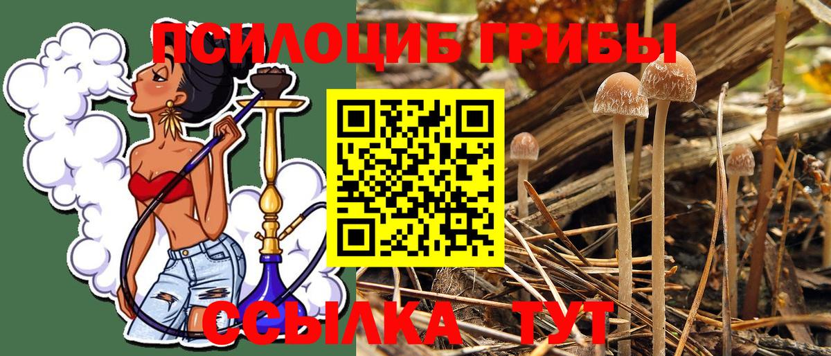Псилоцибиновые грибы GOLDEN TEACHER  Вход с VPN  Лесосибирск 