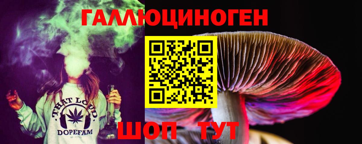 Псилоцибиновые грибы Cubensis Лесосибирск